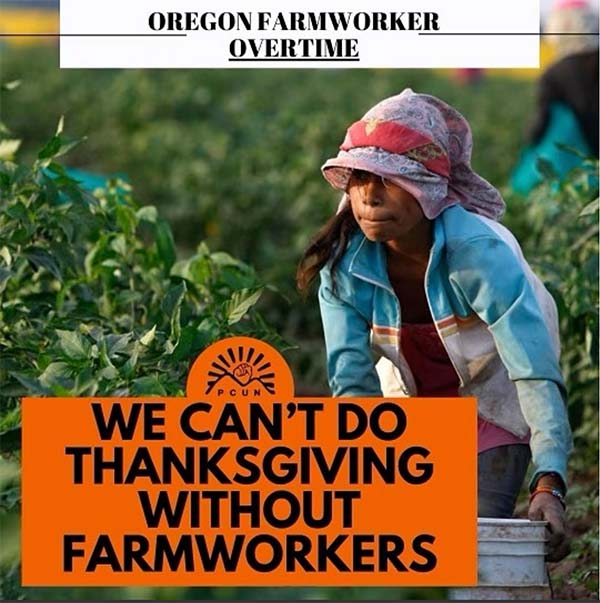 Oregon Farmwork Overtime - We can't do Thanksgiving without farmworkers